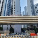 MTA양지태권도장 이미지