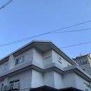 홍대역 미용실 합정역 미용실 어몽헤어 가을 웜톤 봄맞이 애쉬그레이 염색추천