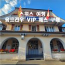 동신카정비 | 신혼여행 융프라우 VIP 패스 가격 구매 방법 동신항운 할인 쿠폰 신청 사용법 주요 혜택 무제한 기차...