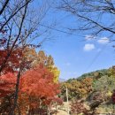 복골농장 이미지