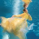 수중촬영 한복 시리즈 🌊 다들 물+한복이 얼마나 아름다운지 알아주셨으면.... 이미지