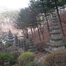 와우정사 이미지