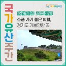 비둘기낭협동조합 | [국가유산 x 골목여행] 10월, 경기도 가볼만한 곳 추천! 국가유산주간에 만나는 수원화성, 포천 한탄강...
