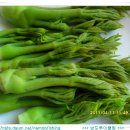 박근재농장 Daum카페