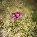 영어와 Craft 이미지