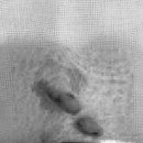 지오동물병원 이미지