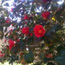 치성농장 이미지