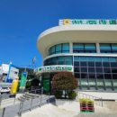 유동민박 이미지