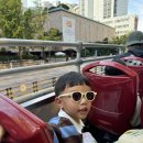 동대문문구완구거리 이미지