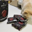 (주)좋은사료자원 | 강아지사료 고민 끝, 국개대표 올바른끼니플러스 급여 후기