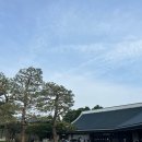 그래미의원 | [ALC]서포터즈 참가 후기