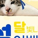 얼라이브 스튜디오 이미지