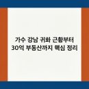 가수 강남 귀화 근황부터 30억 부동산까지 핵심 정리