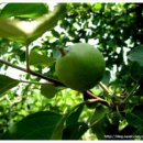 주산면사무소 이미지