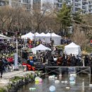 당현천 벚꽃음악회 이미지