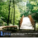 매력한우 기찬랜드 명품관 이미지