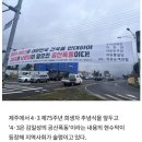 제주도 80곳 일제히 걸린 현수막…이 문구에 도민 경악했다 이미지