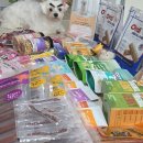 한양사료유통 | 2026송도마이펫페어 후기 추천간식리스트 사료 장난감 가격 이벤트 주차꿀팁 등