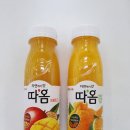 갓;따옴 이미지