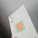 비디오클럽 | 책 자몽살구클럽(한로로) 솔직 후기