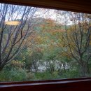 진동너와촌뜰사랑채 이미지