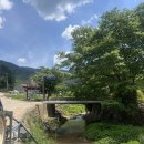 [강원도/평창] LP와 책이 있는 숙소 ‘운교산방’ 내돈내산 후기