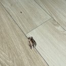 세류로 1길 | 강화마루찍힘 복원 이사 전 원복 비용