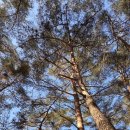 C19 | 월악산 닷돈재 야영장 C-19 사이트 추천 및 시설 정리