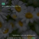 악플러들에게 경고한다 ㅡㅠㅠ 이미지