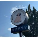 애견세상 - 1217 | 애견세상