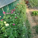 이강농장 이미지