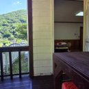 배내배내 이미지