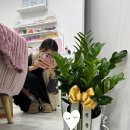 네일르조이 이미지