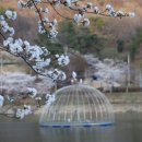 장미아파트 이미지