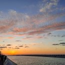 제주공상 이미지