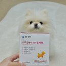 후츄스토어