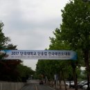 단국대 단웅태권도 이미지