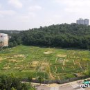 수원-1376 이미지