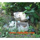 김동순농장 이미지