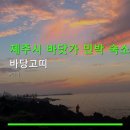 더바당민박 | 제주시 바닷가 민박 숙소 바당고띠 주차 편리·가족 단위 이용 가능