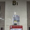 상현 | [공지] [용인] 염색 잘하는 상현역미용실 라온스헤어 상현점 후기