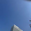 멜리샤 호텔 | 남미 신혼여행 - 브라질 리우데자네이루(Rio de Janeiro) 쉐라톤 7월
