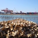 항월마을 이미지