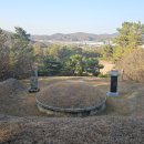 수성최씨시조묘 이미지