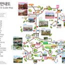 휴애리근처 | 제주 휴애리 자연생활공원 수국축제 6월 7월 수국 명소 개화상태
