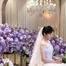 작업97-1 | [아이폰 스냅] 내 돈 내산 트라움 스냅 추천 후기(제이웨딩 추천인 : 97예신)