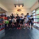 성일GYM 복싱센터 이미지