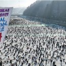 화천재래시장 이미지