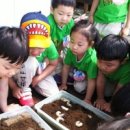 내곡동436 이미지