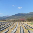 백련가든 이미지